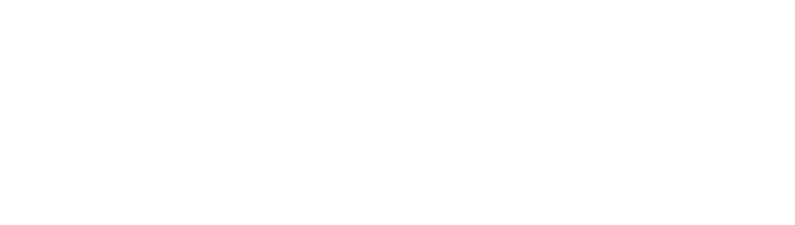 logo push geolocalizador